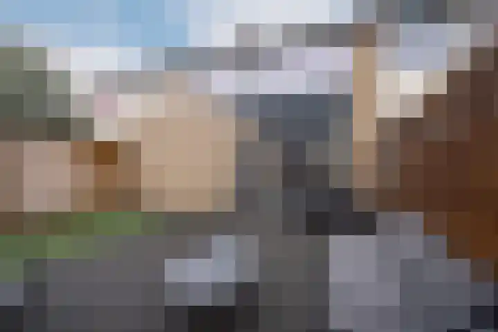 Oderstraat 4 Assen thumbnail 42