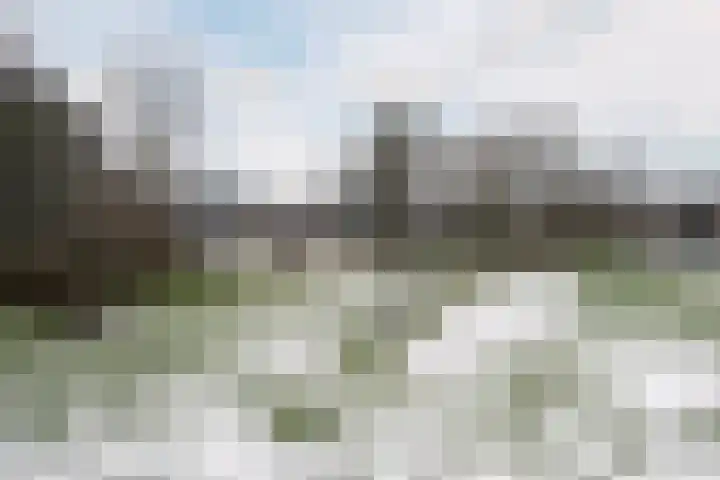 Oderstraat 4 Assen thumbnail 45