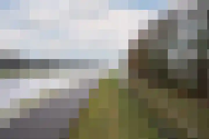 Oderstraat 4 Assen thumbnail 47