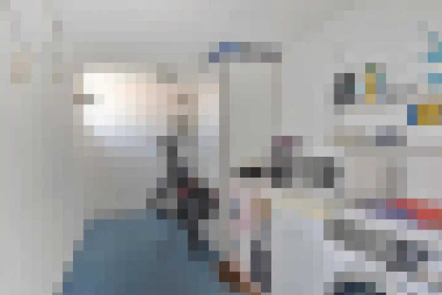 Odewaldlaan 33 Wildervank thumbnail 29