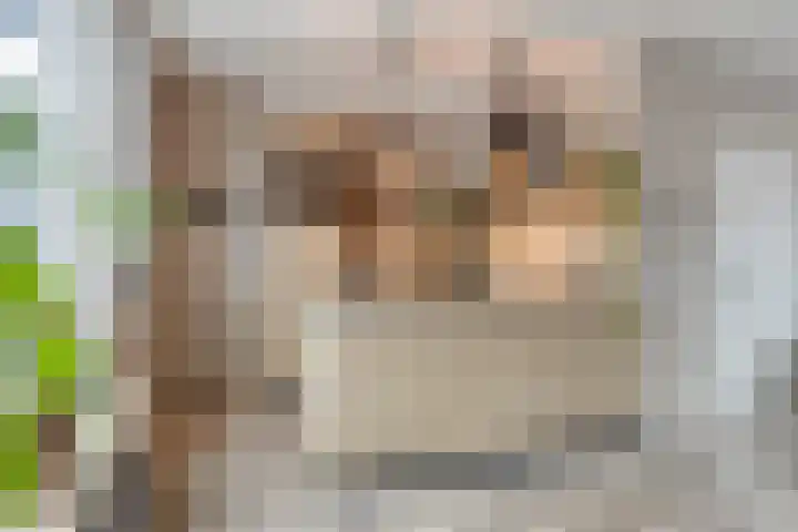 Odewaldlaan 37 Wildervank thumbnail 14