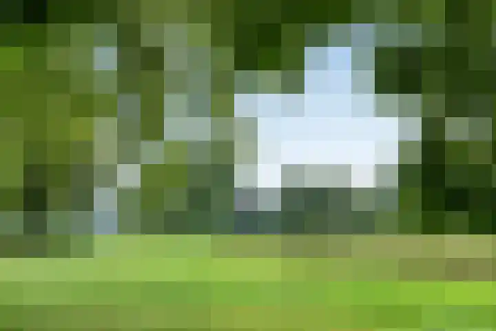 Odewaldlaan 37 Wildervank thumbnail 37