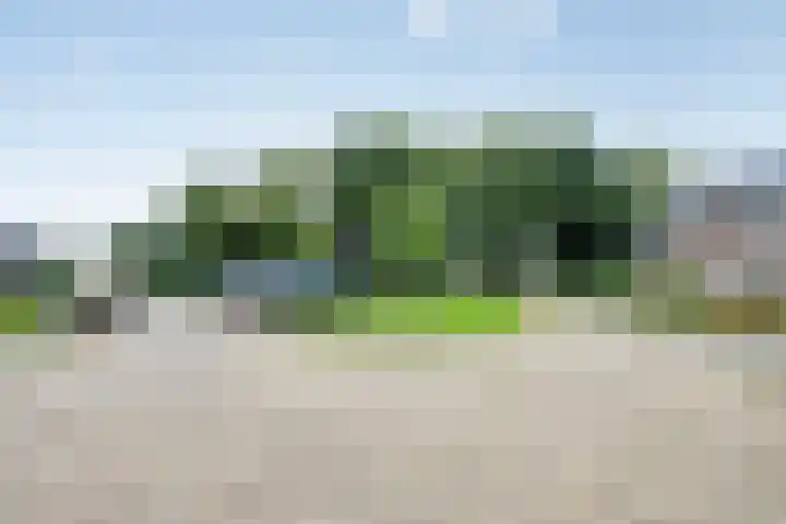 Odewaldlaan 37 Wildervank thumbnail 38
