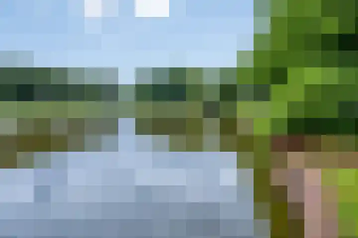 Odewaldlaan 37 Wildervank thumbnail 39