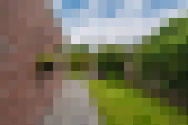 Odewaldlaan 49 Wildervank thumbnail 51