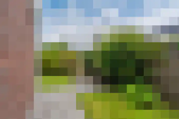 Odewaldlaan 49 Wildervank thumbnail 52