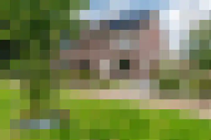 Odewaldlaan 49 Wildervank thumbnail 8