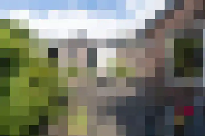 Odijkerweg 112 Zeist thumbnail 28