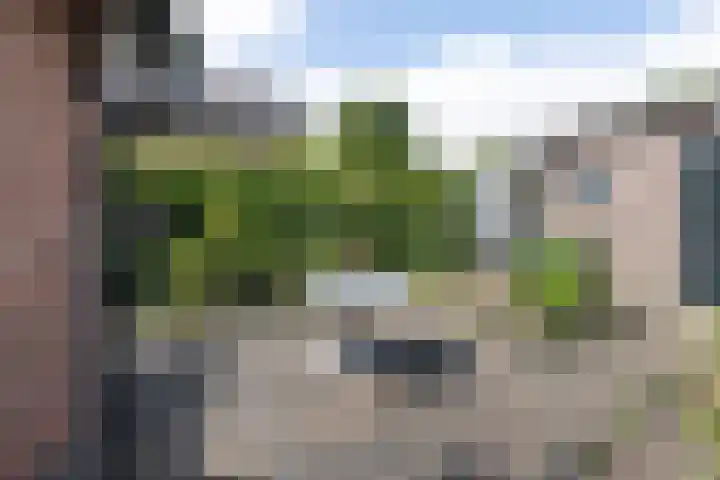Odijkerweg 112 Zeist thumbnail 31