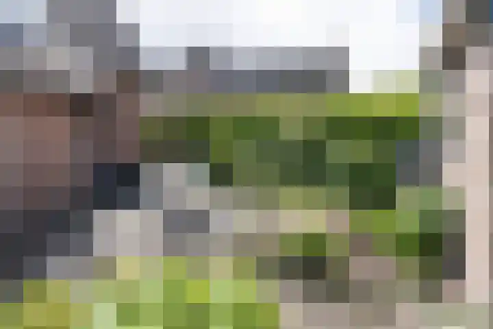 Odijkerweg 112 Zeist thumbnail 32