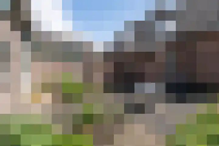 Odijkerweg 112 Zeist thumbnail 33
