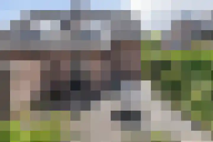 Odijkerweg 112 Zeist thumbnail 34
