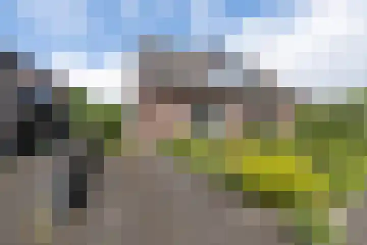 Odijkerweg 112 Zeist thumbnail 38