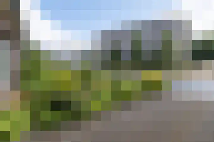 Odijkerweg 112 Zeist thumbnail 39