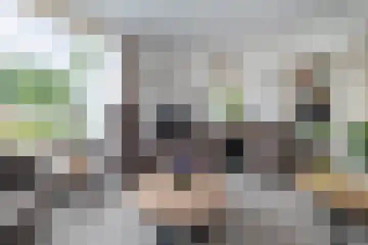 Odijkerweg 112 Zeist thumbnail 4
