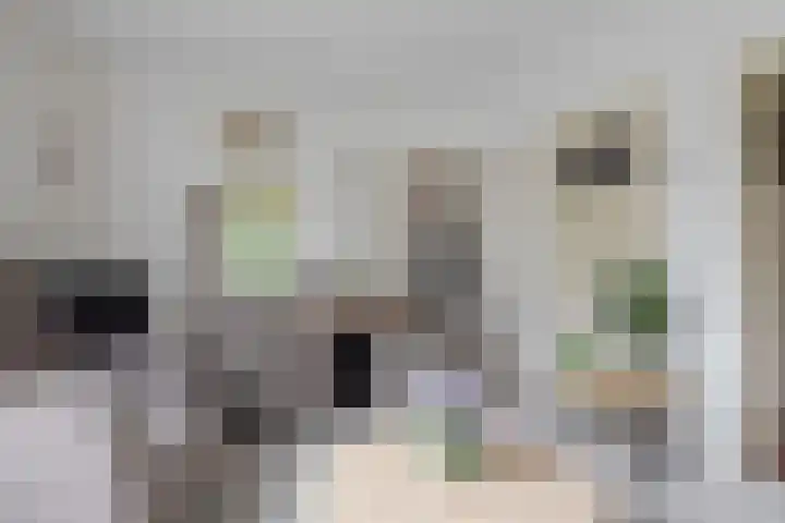 Odijkerweg 112 Zeist thumbnail 8