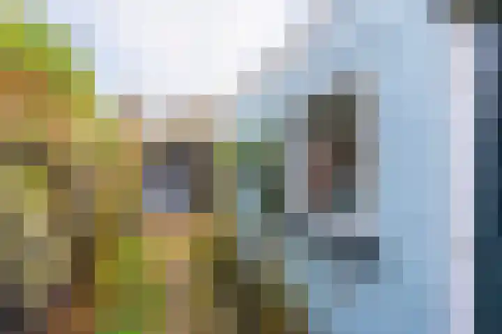 Odijkerweg 40 Zeist thumbnail 15