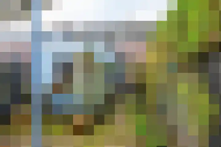 Odijkerweg 40 Zeist thumbnail 17