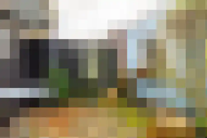 Odijkerweg 40 Zeist thumbnail 18