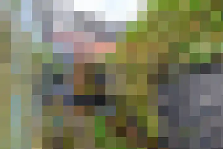 Odijkerweg 40 Zeist thumbnail 19