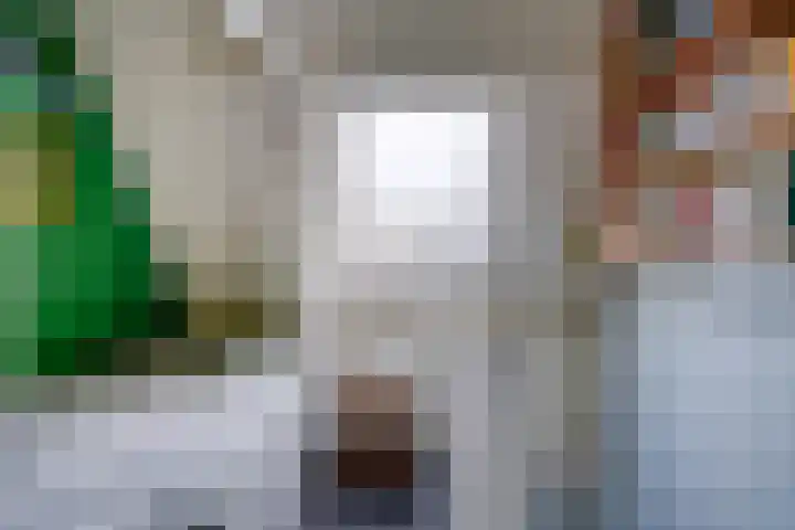 Odijkerweg 40 Zeist thumbnail 21