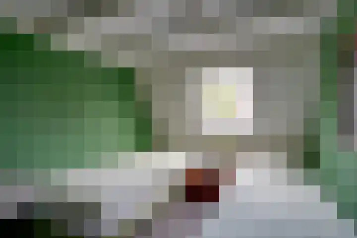 Odijkerweg 40 Zeist thumbnail 25