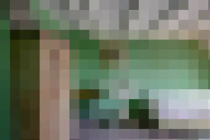 Odijkerweg 40 Zeist thumbnail 26