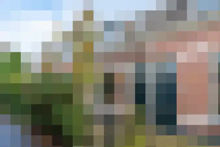 Odijkerweg 40 Zeist thumbnail 34