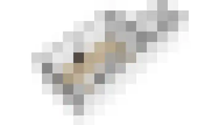 Odijkerweg 40 Zeist thumbnail 36