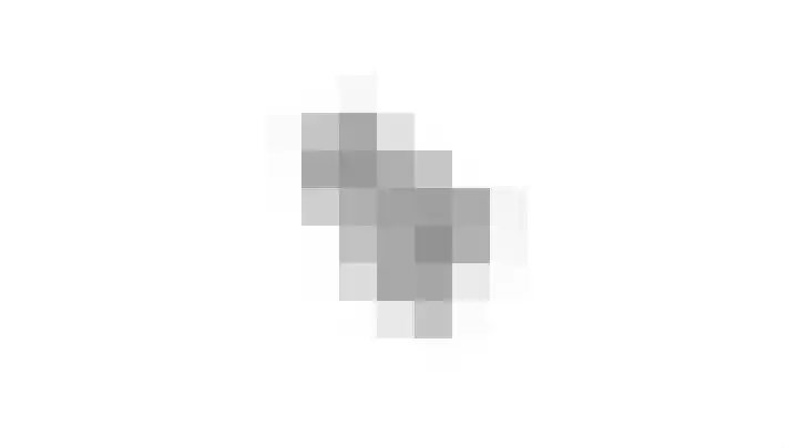 Odijkerweg 40 Zeist thumbnail 41