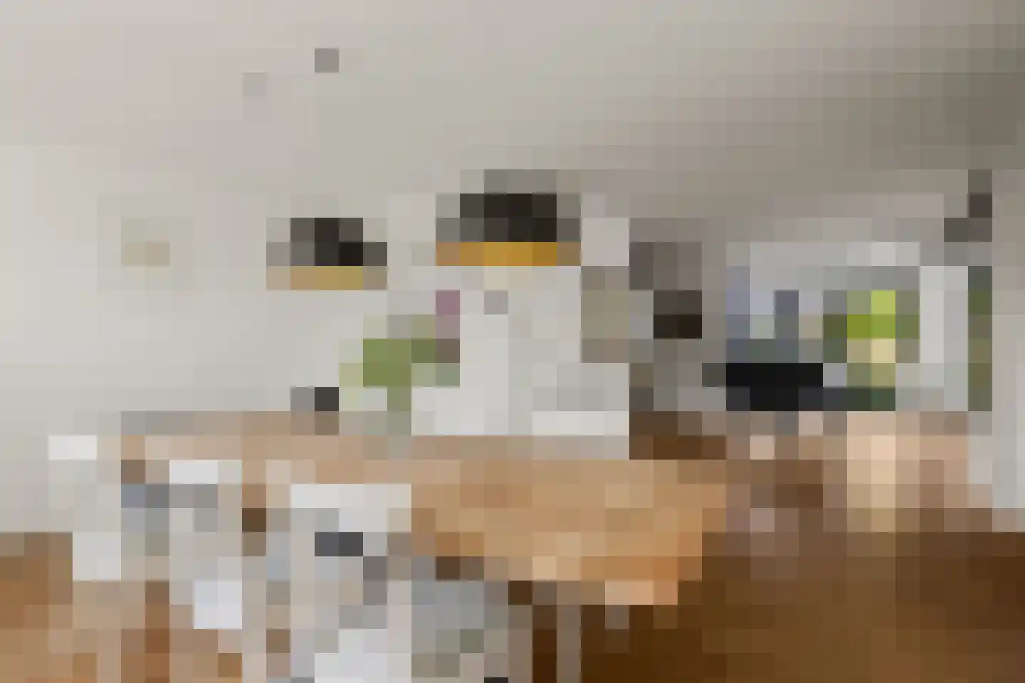 Odijkseweg 12 Houten thumbnail 11