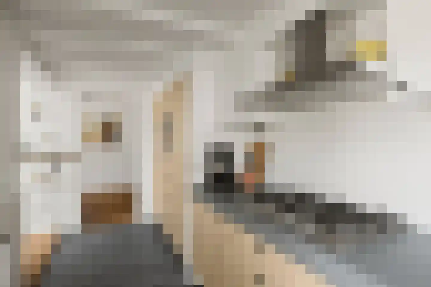 Odijkseweg 12 Houten thumbnail 21