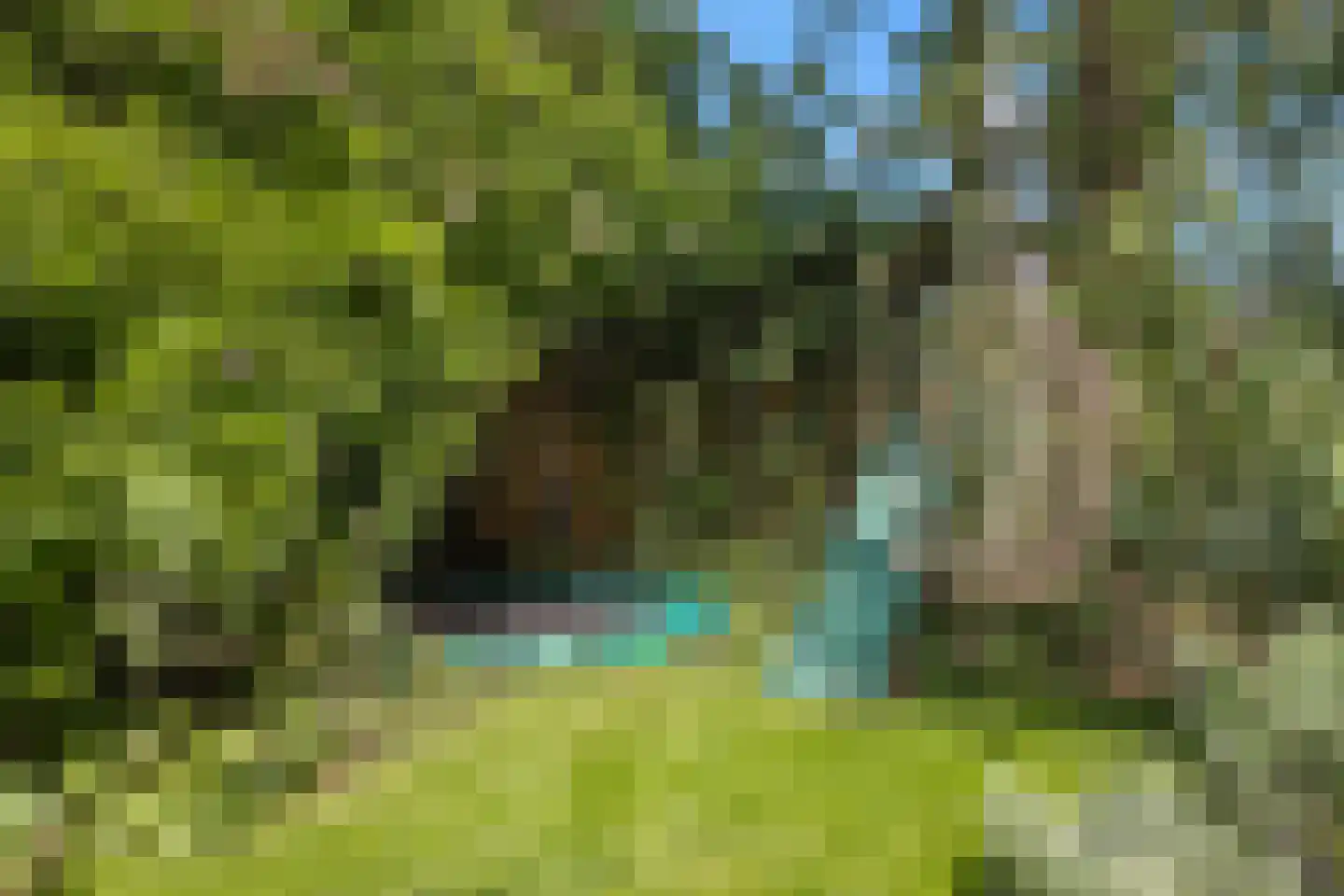 Odijkseweg 12 Houten thumbnail 26
