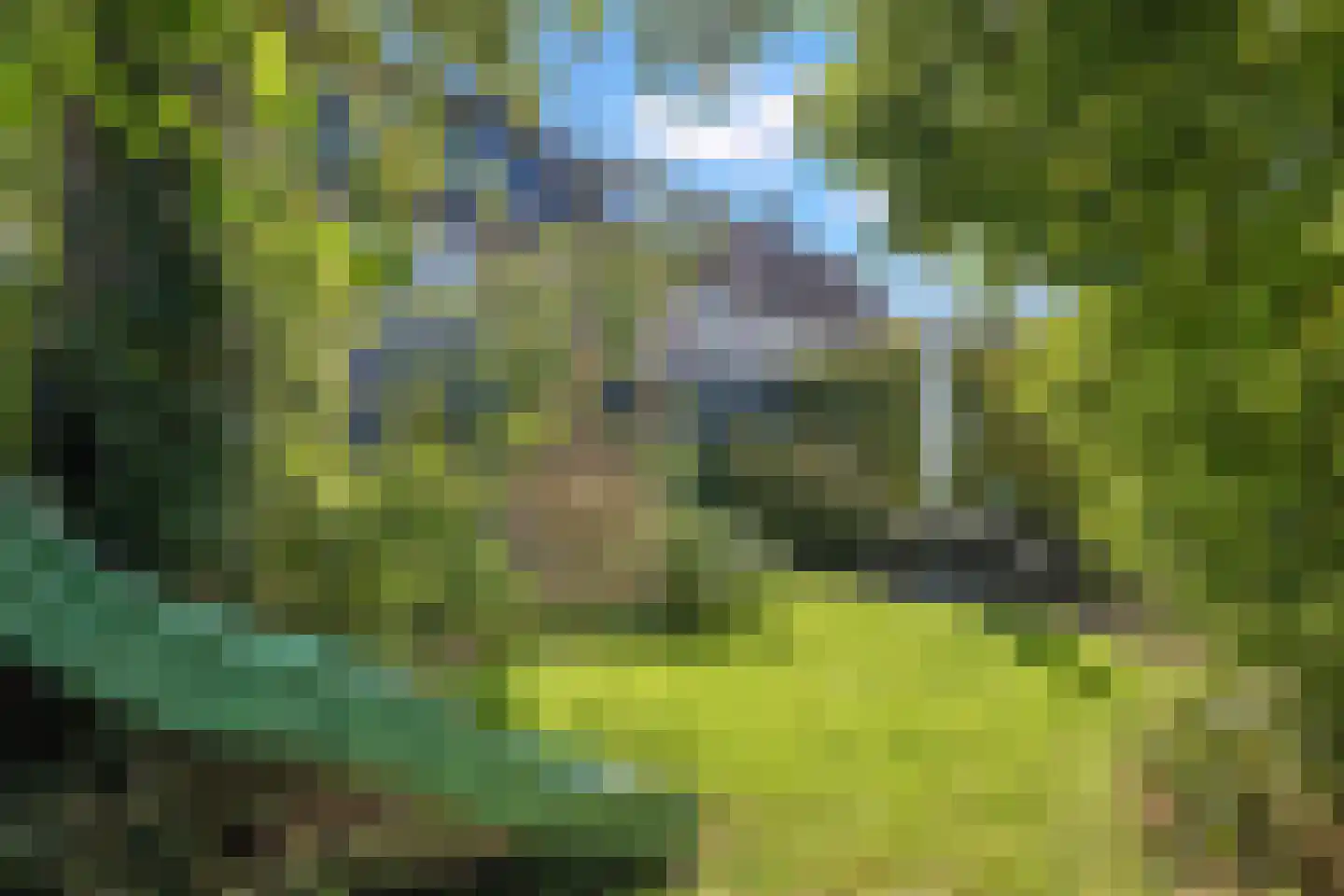 Odijkseweg 12 Houten thumbnail 27