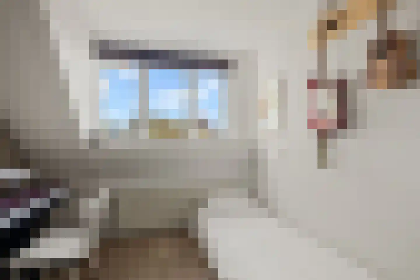 Odijkseweg 12 Houten thumbnail 35