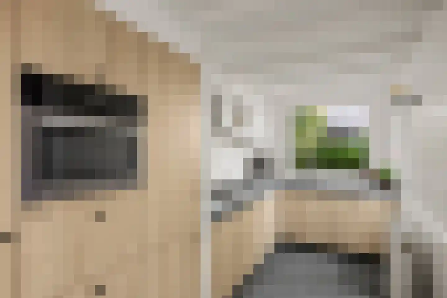Odijkseweg 12 Houten thumbnail 4