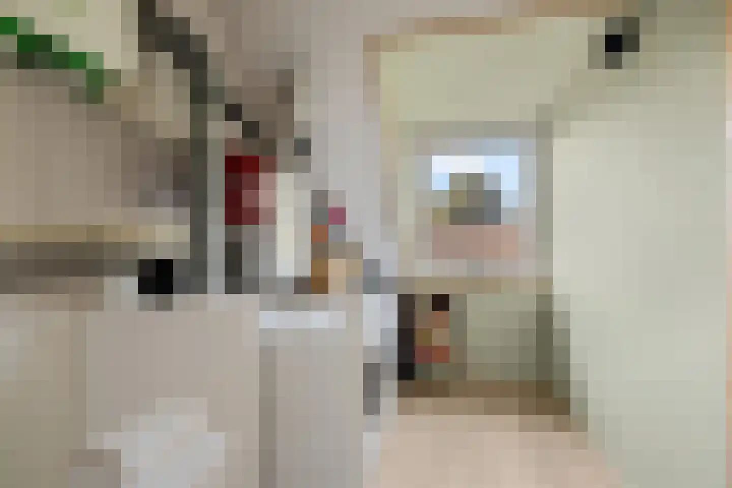 Odijkseweg 12 Houten thumbnail 40