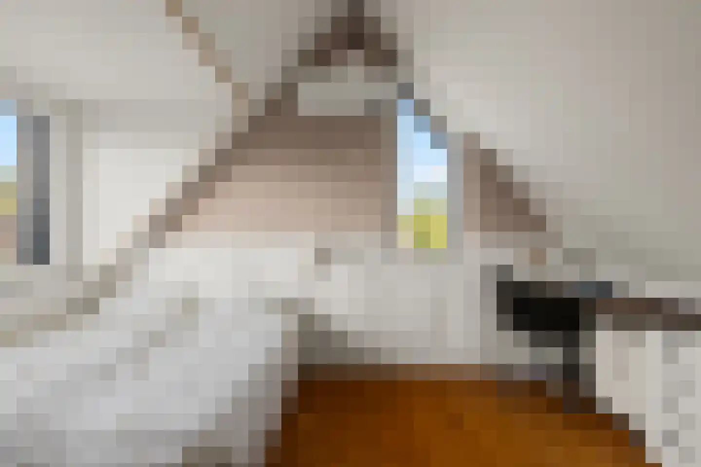 Odijkseweg 12 Houten thumbnail 41