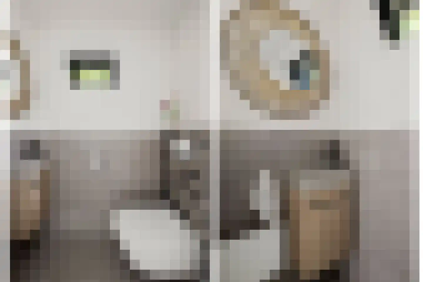 Odijkseweg 12 Houten thumbnail 45