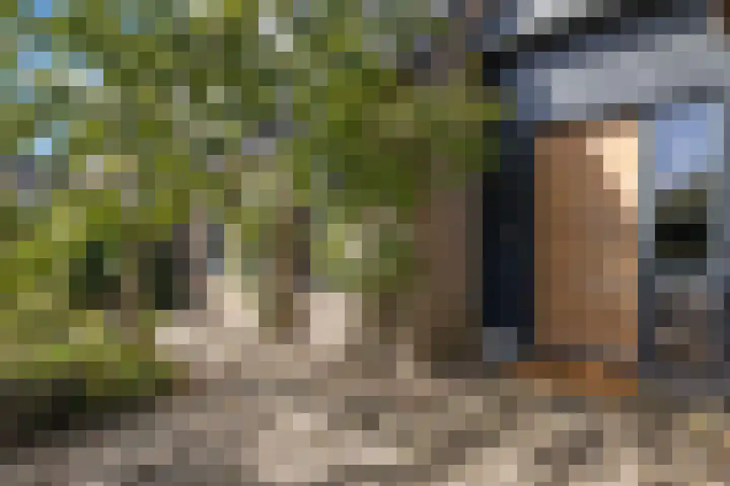 Odijkseweg 12 Houten thumbnail 47
