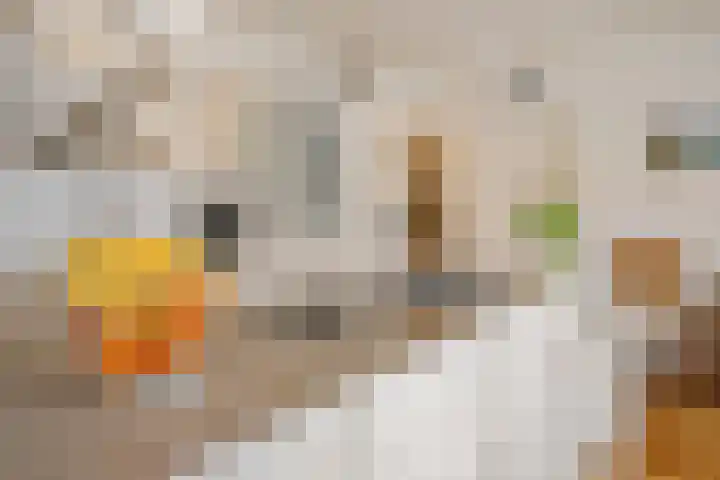 Odijkseweg 17 Houten thumbnail 14