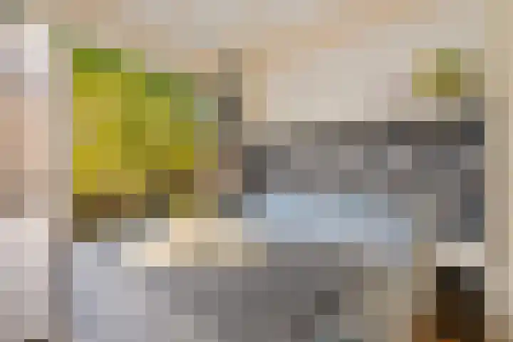 Odijkseweg 17 Houten thumbnail 18