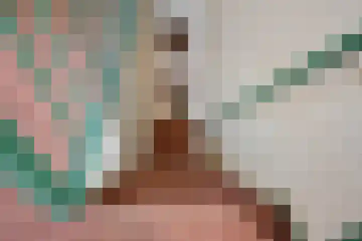 Odijkseweg 17 Houten thumbnail 31