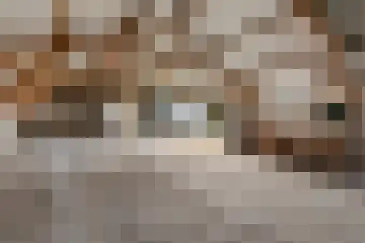 Odijkseweg 17 Houten thumbnail 37