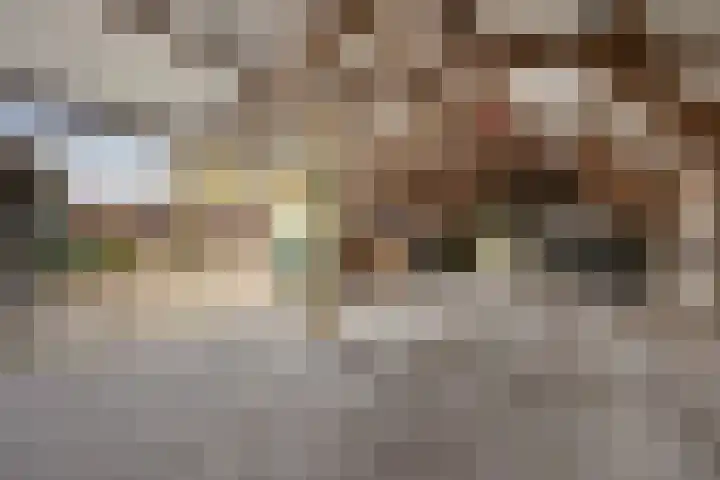 Odijkseweg 17 Houten thumbnail 38