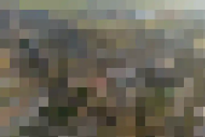 Odijkseweg 17 Houten thumbnail 43