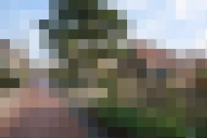 Odijkseweg 17 Houten thumbnail 45