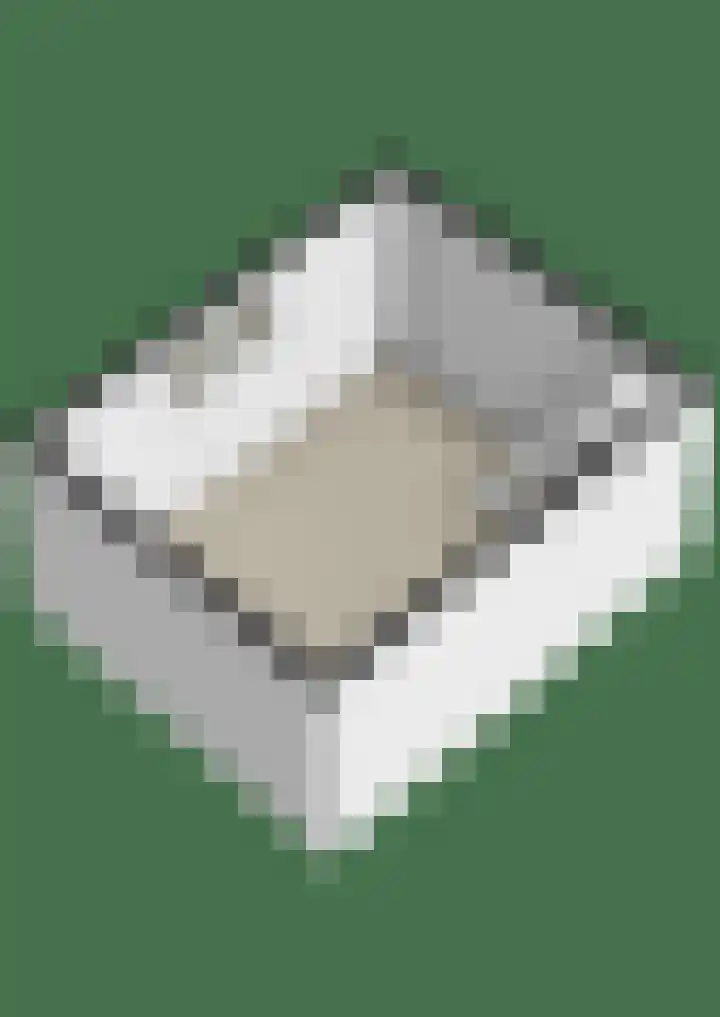 Odijkseweg 17 Houten thumbnail 55