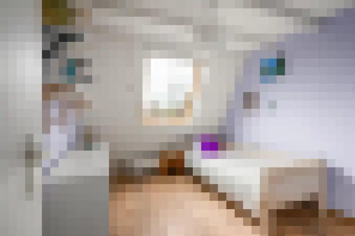 Odijkseweg 2 Houten thumbnail 20