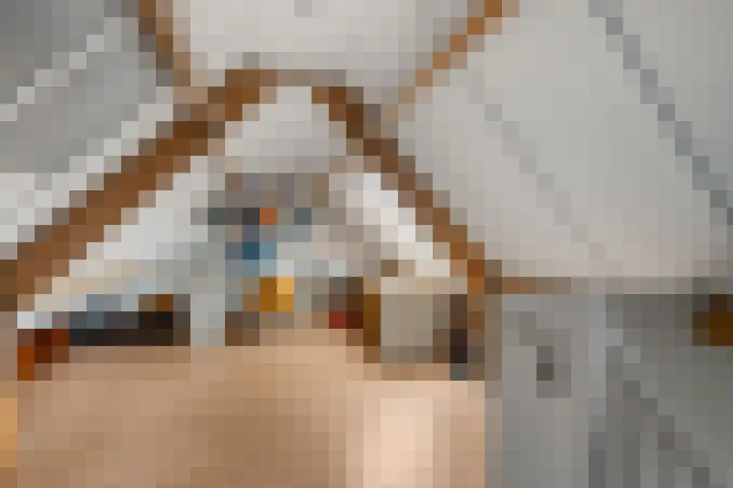 Odijkseweg 2 Houten thumbnail 22